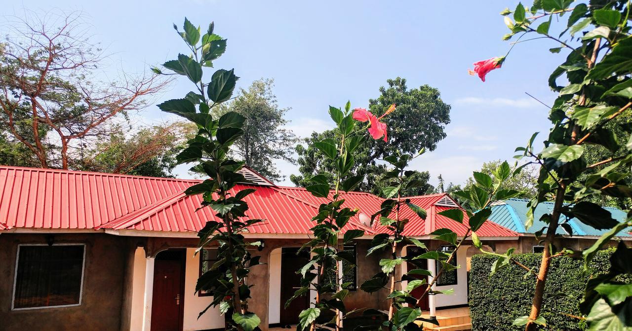 Acacia Tree Apartments Marangu Eksteriør bilde