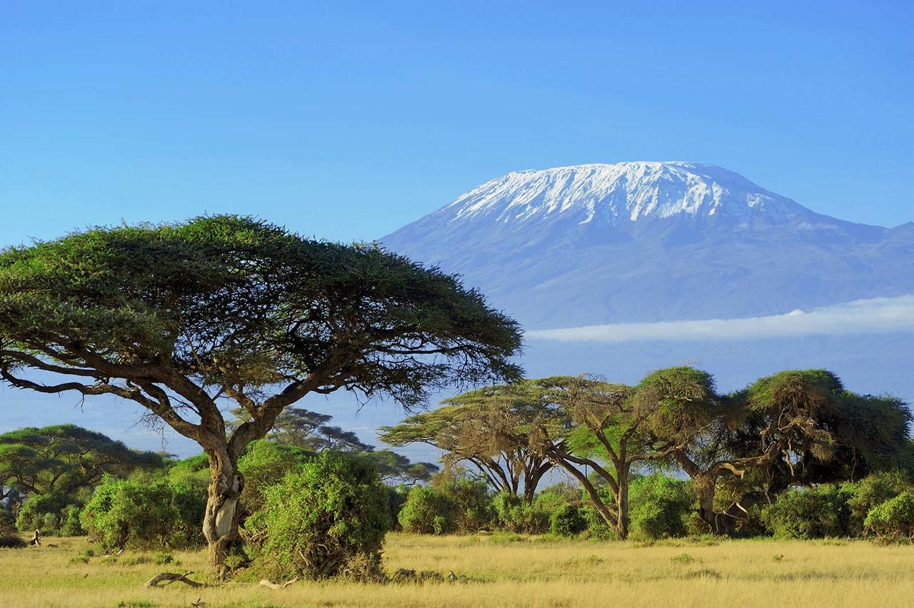 Acacia Tree Apartments Marangu Eksteriør bilde