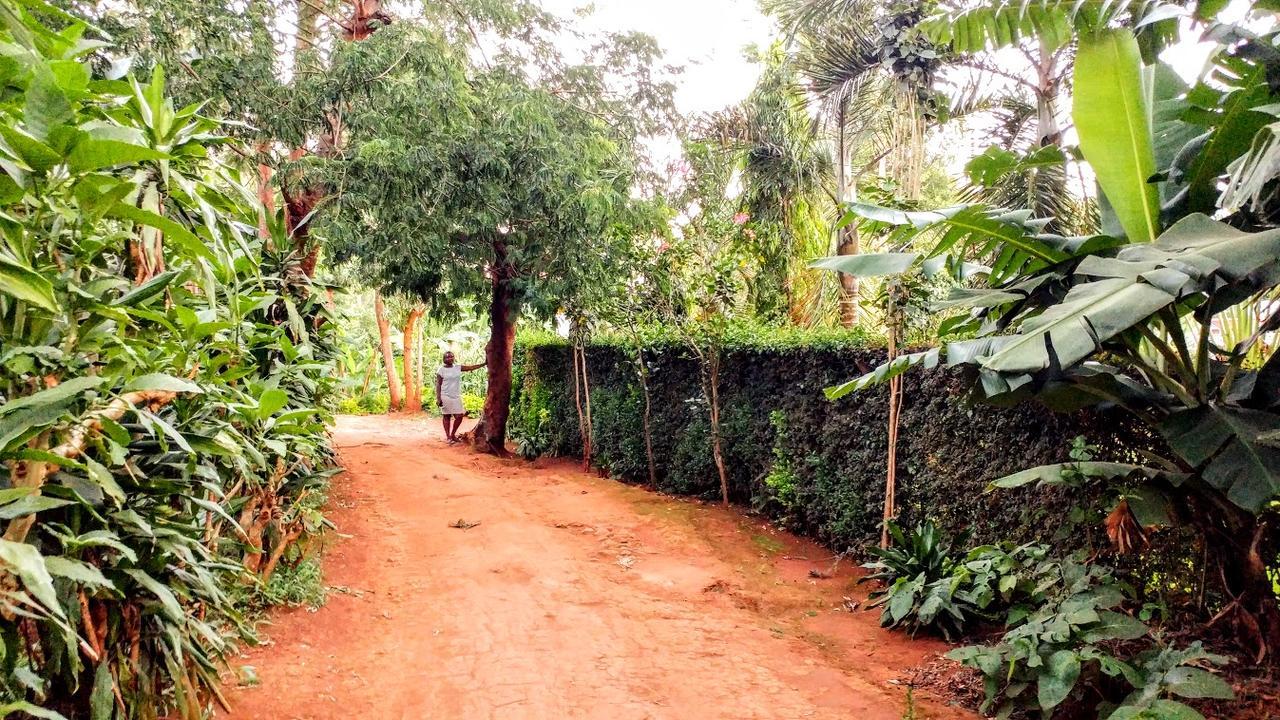 Acacia Tree Apartments Marangu Eksteriør bilde