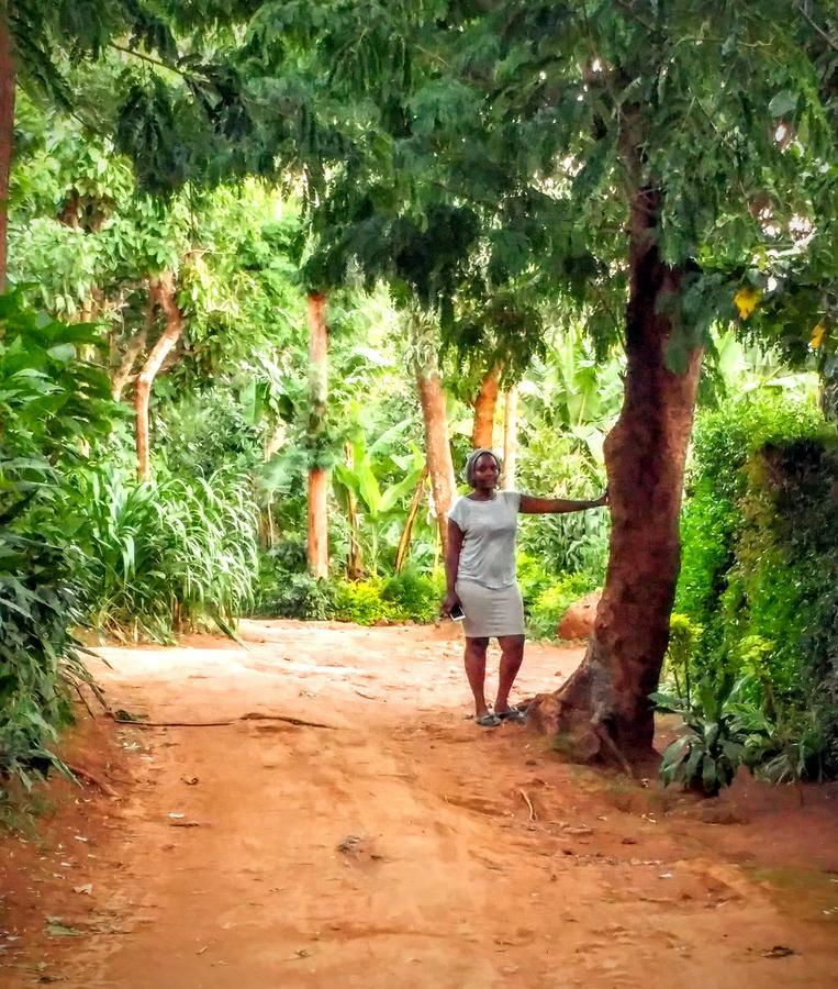 Acacia Tree Apartments Marangu Eksteriør bilde